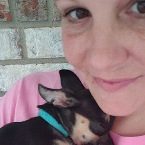 Meet your Posher, Christi